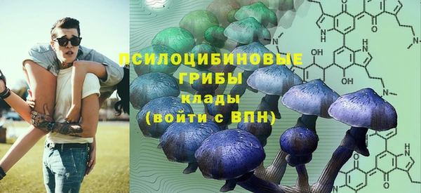 кокс Алексин