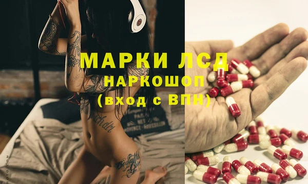 кокс Алексин