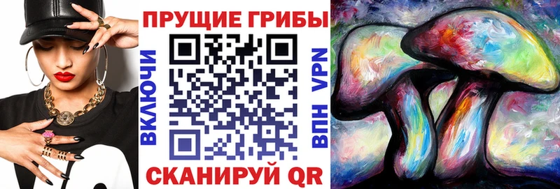 Псилоцибиновые грибы мицелий  KRAKEN маркетплейс  Минусинск 